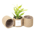Jute Small Plant Pots Set of 3, 4.5 inches, Natural Jute