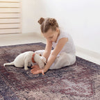 Washable Area Rug with Soft Low Pile - Maval by Naar Rug - Dark Red or Beige
