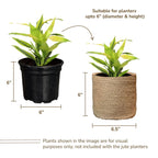 Woven Jute Planter Baskets, Set of 2