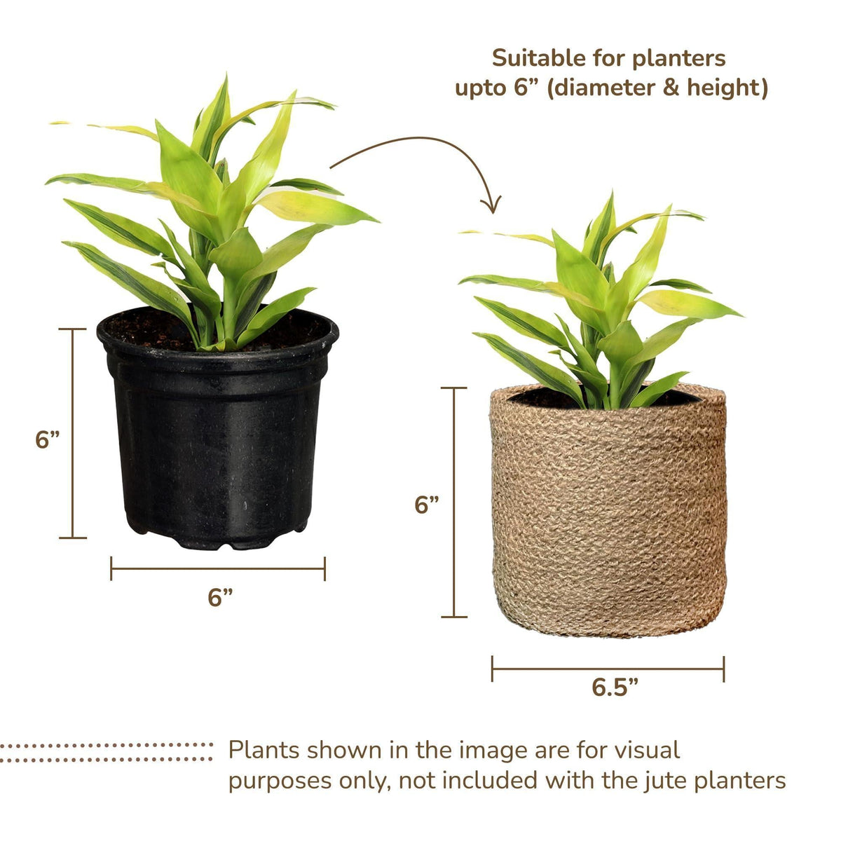 Woven Jute Planter Baskets, Set of 2