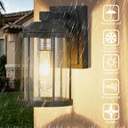 2-Pack 11" Modern Farmhouse Outdoor Wall Lanterns