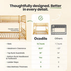 Bunk Bed For Kids