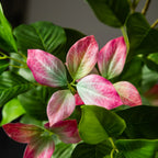 Willow Grove Artificial Ficus Tree