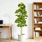Evergreen Haven Faux Ficus Tree