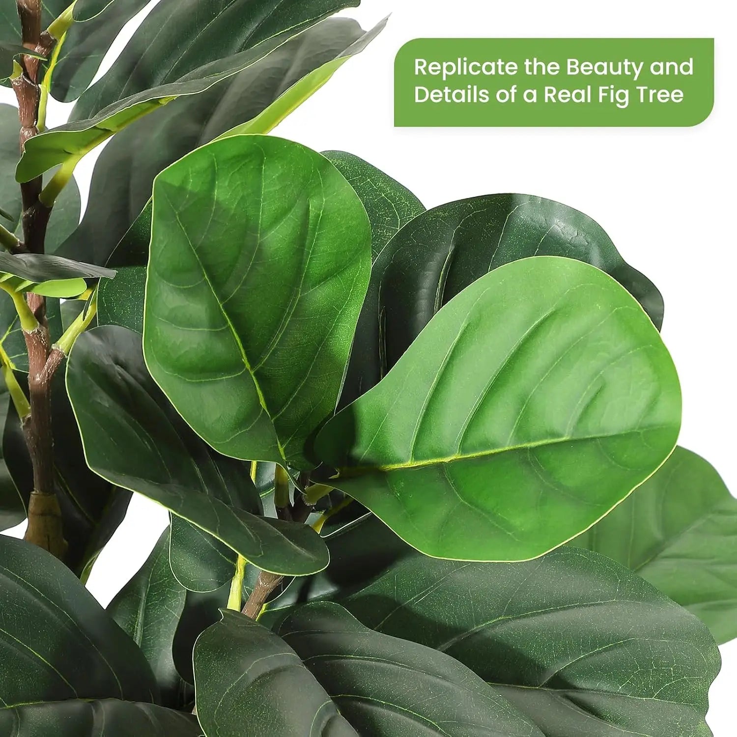 Evergreen Fiddle Leaf Fig Faux Tree – 5FT, 6FT & 7FT