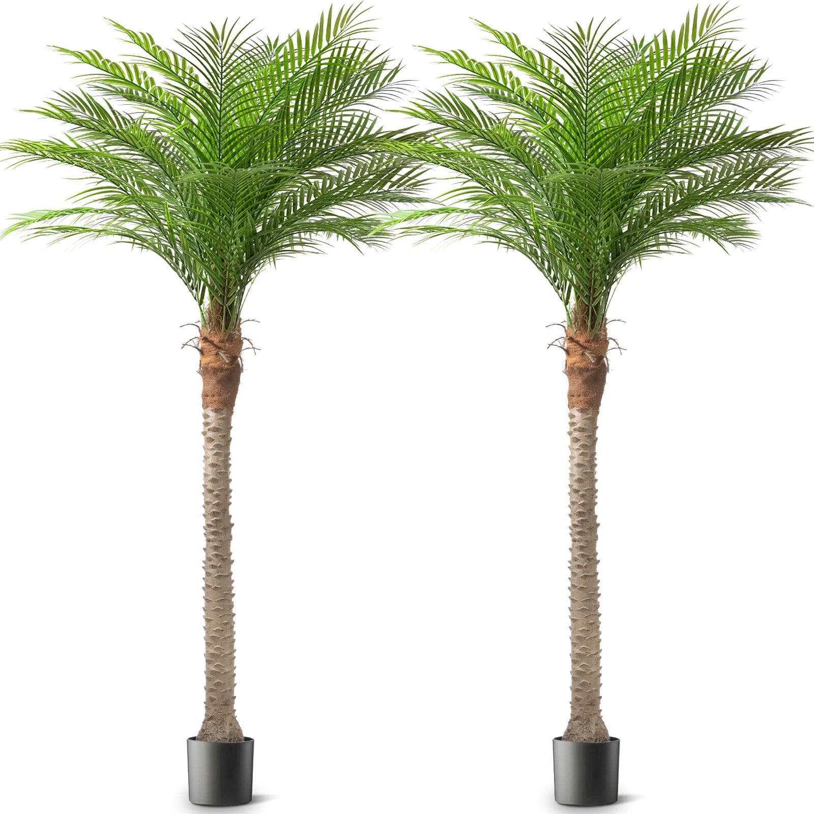 Paradise Palm Faux Tree Set – Lifelike Indoor & Outdoor Decor (2-Pack)