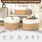 Willow Haven Woven Jute Storage Basket Set