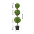 Heritage Spiral Boxwood Topiary Tree – 24", 36" & 48"