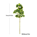 Evergreen Haven Faux Ficus Tree