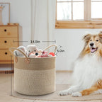 Willow Haven White Wicker Storage Basket