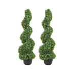 Heritage Spiral Boxwood Topiary Tree – 24", 36" & 48"