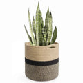 Willow Haven Handwoven Jute Plant Basket