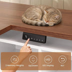 Summit Pro 63" L-Shaped Electric Standing Desk with LED Lights & Storage
