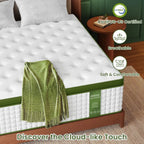 BedStory Hybrid Mattress Collection