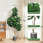 Willow Estate Artificial Fiddle Leaf Fig Tree