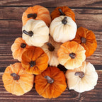 12-Piece Velvet Pumpkin Décor Set – Farmhouse Fall & Thanksgiving Decorations