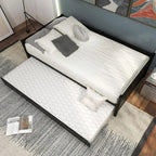 Twin Wooden Daybed with Pull-Out Trundle
