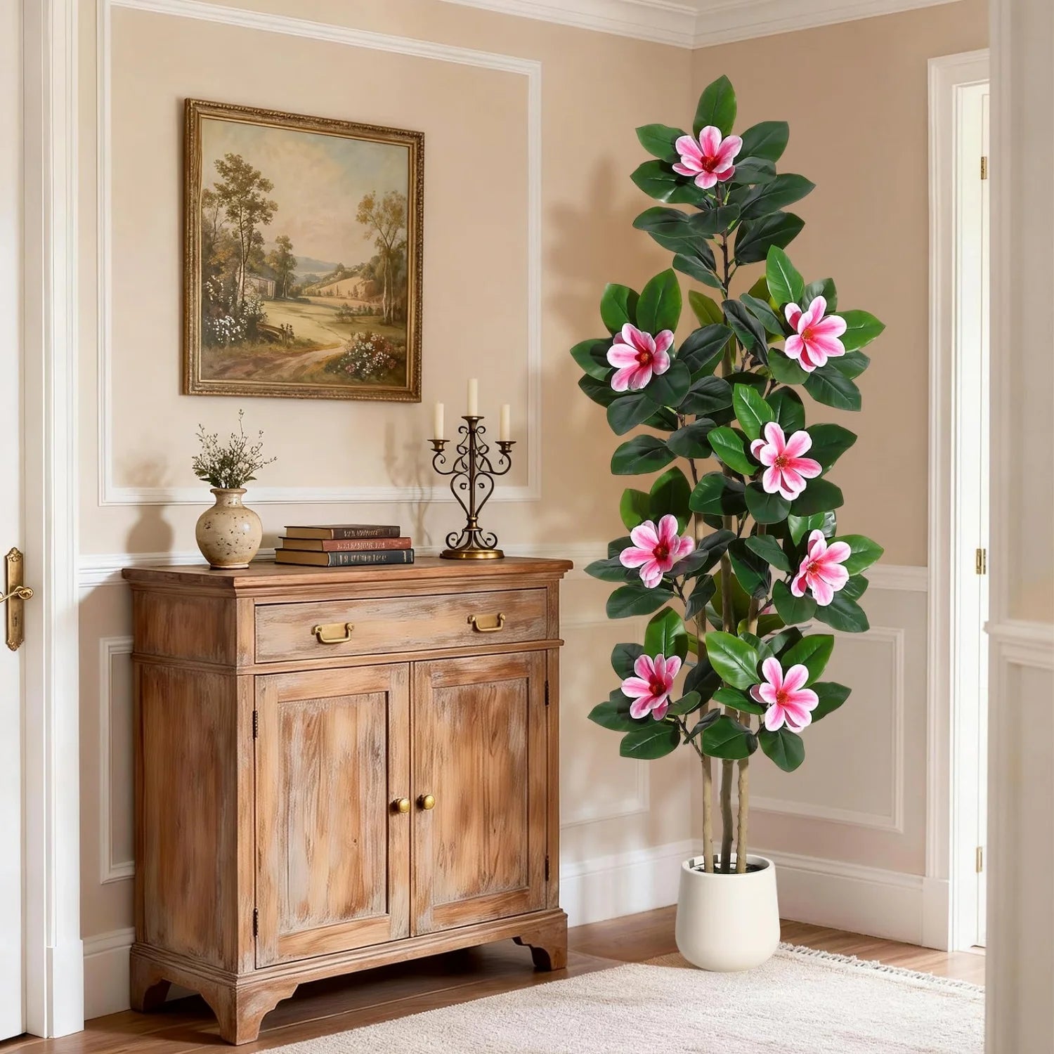 Evergreen Olive Tree
