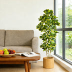 Evergreen Haven Faux Ficus Tree