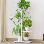 HavenHarbor 4-Tier Metal Plant Stand – Indoor & Outdoor Corner Plant Display Shelf