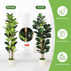 Evergreen Fiddle Leaf Fig Faux Tree – 5FT, 6FT & 7FT