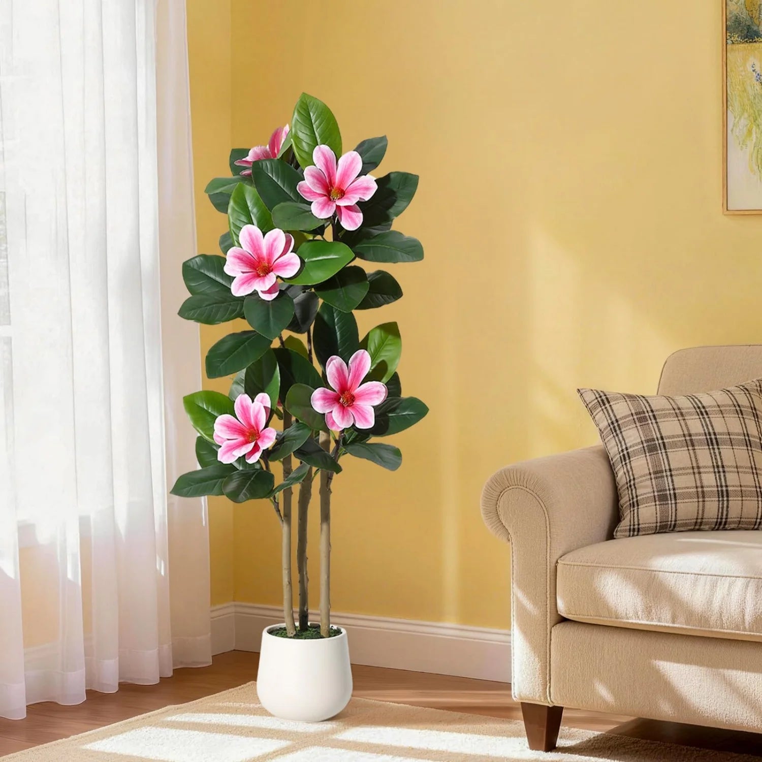 Evergreen Olive Tree