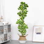 Willow Grove Faux Ficus Tree