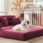 FlexLounge Convertible Sleeper Chair & Floor Sofa Bed