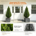 Evergreen Cedar Faux Topiary Tree