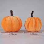 12-Piece Velvet Pumpkin Décor Set – Farmhouse Fall & Thanksgiving Decorations