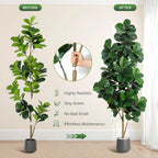 Willow Estate Artificial Fiddle Leaf Fig Tree