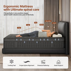 LayRoad Ridge Hybrid Memory Foam Mattress