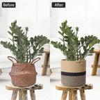 Willow Haven Handwoven Jute Plant Basket