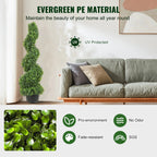 Heritage Spiral Boxwood Topiary Tree – 24", 36" & 48"