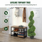 Heritage Spiral Boxwood Topiary Tree – 24", 36" & 48"