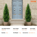 Evergreen Haven Cedar Topiary Tree Set