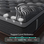 Sweetlove Luxe 12-Inch Hybrid Memory Foam Mattress
