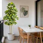 Evergreen Haven Faux Ficus Tree