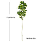 Willow Grove Faux Ficus Tree