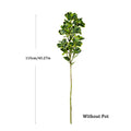 Evergreen Haven Faux Ficus Tree