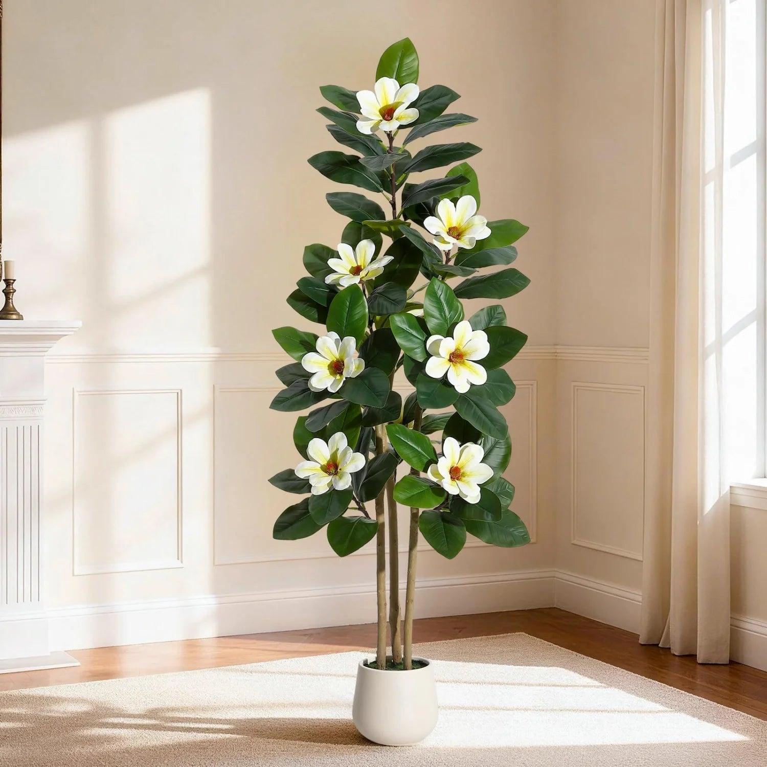 Evergreen Olive Tree