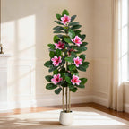 Evergreen Olive Tree
