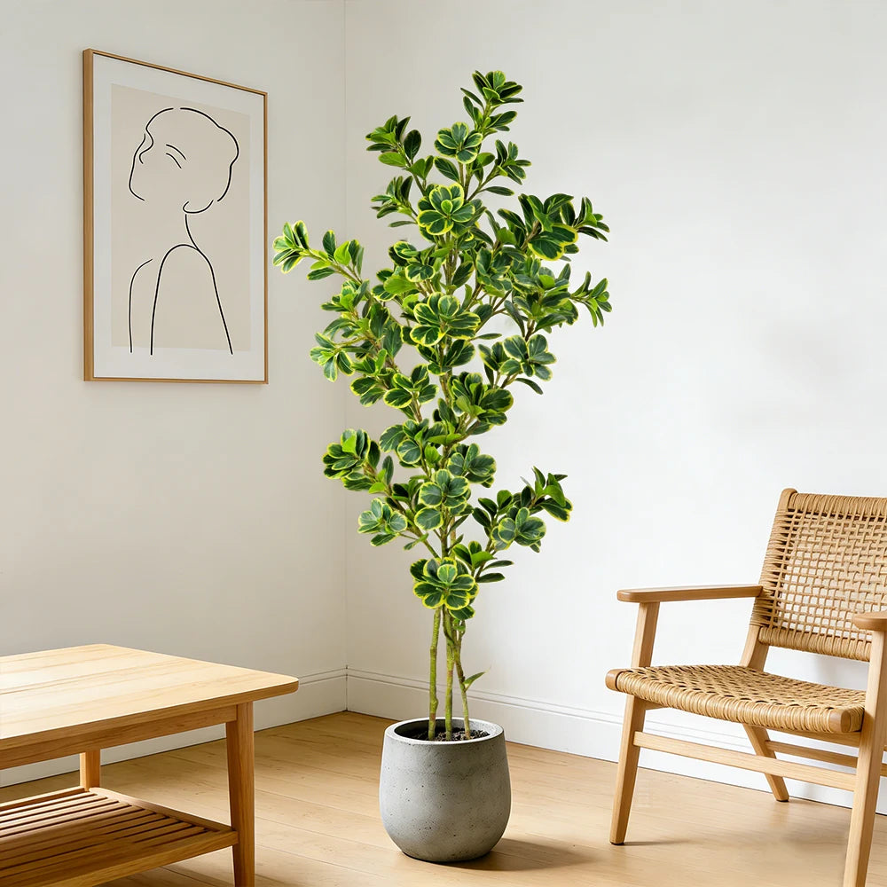 Evergreen Haven Faux Ficus Tree