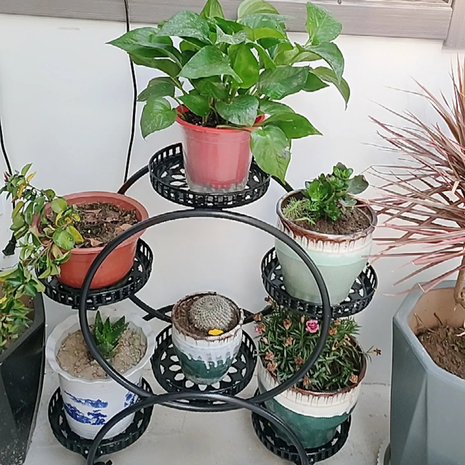 HavenHarbor 6-Pot Rolling Metal Plant Stand – Indoor & Outdoor Multi-Tier Flower Display Rack
