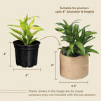 Jute Small Plant Pots Set of 3, 4.5 inches, Natural Jute