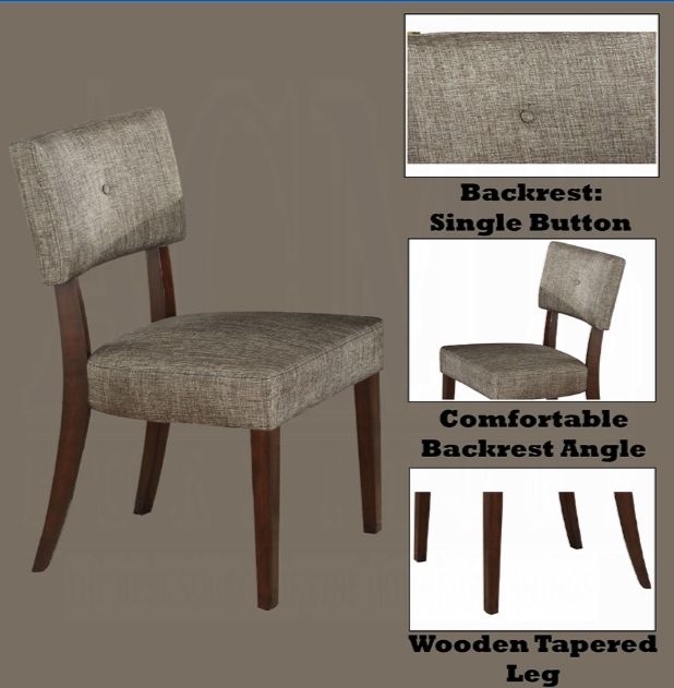 Drake Side Chair Set of 2 with Fabric Upholstery - Gray